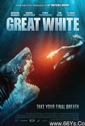 大浪白鲨