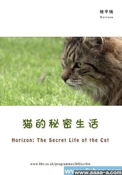 猫的秘密生活