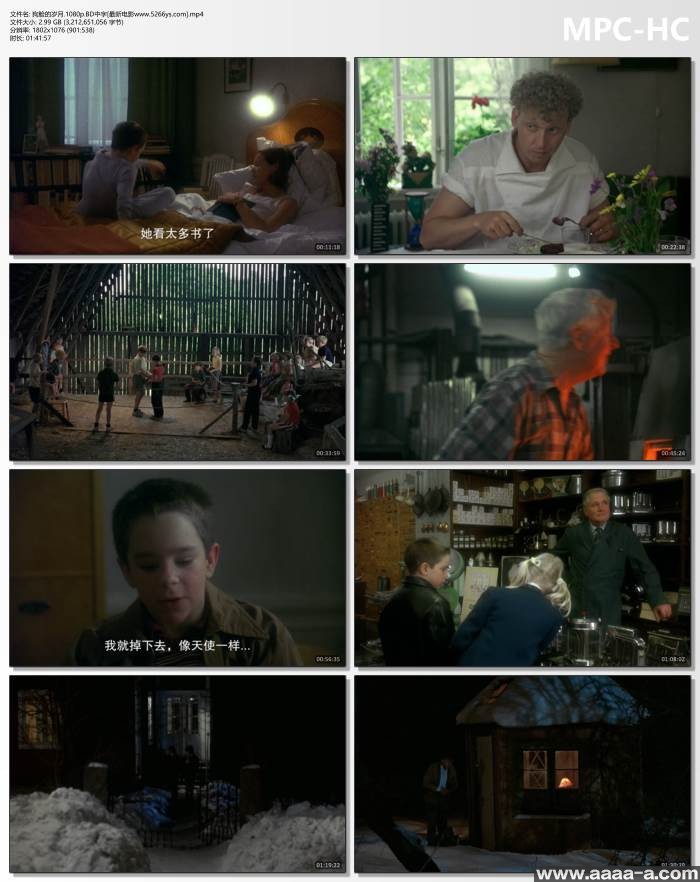 狗脸的岁月