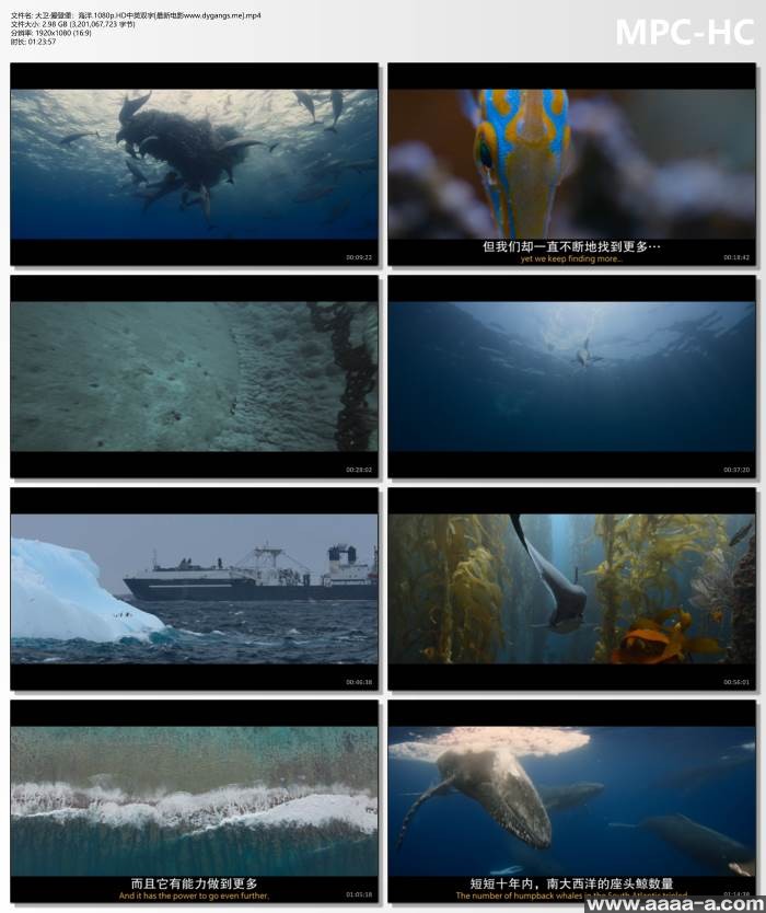 大卫·爱登堡：海洋