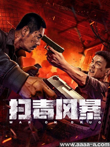 扫毒风暴