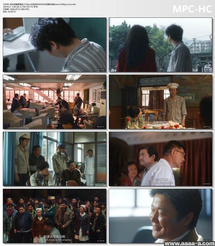 阳光照耀青春里