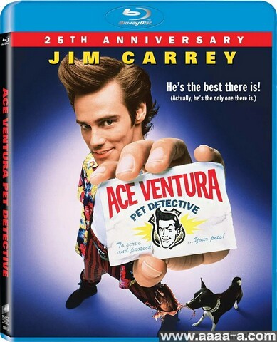 神探飞机头2部全