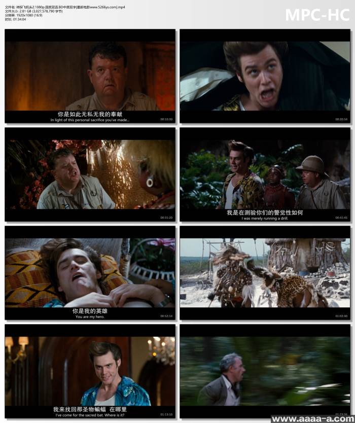 神探飞机头2部全