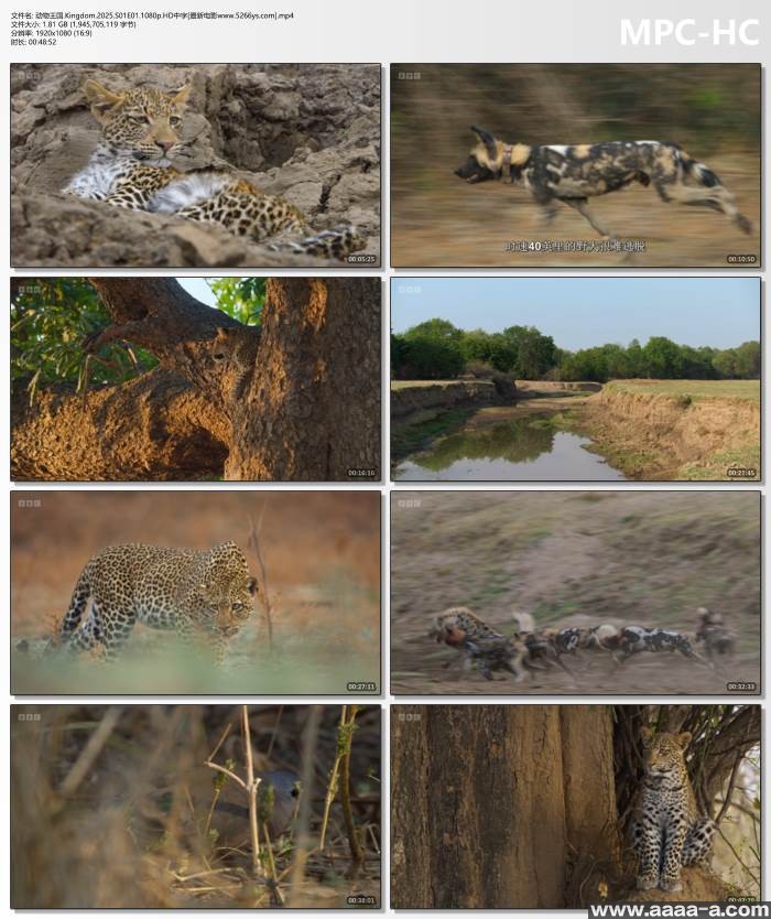 动物王国[纪录片]