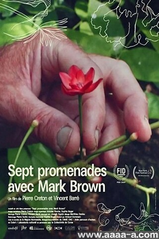 与马克·布朗的七次散步