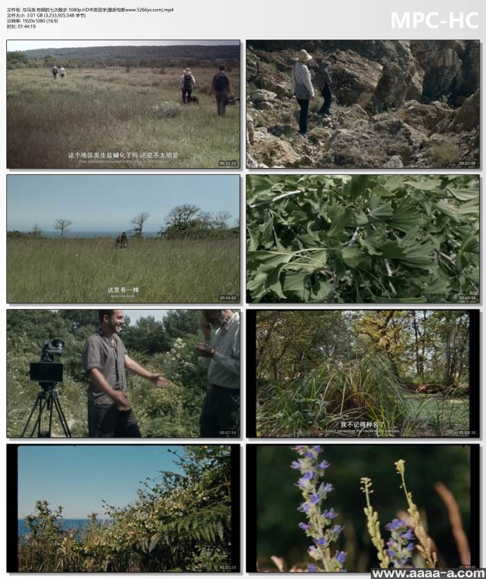 与马克·布朗的七次散步