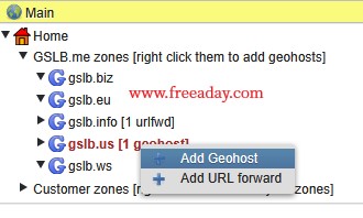gslb 免费二级域名dns解析，支持GeoDNS分区域解析