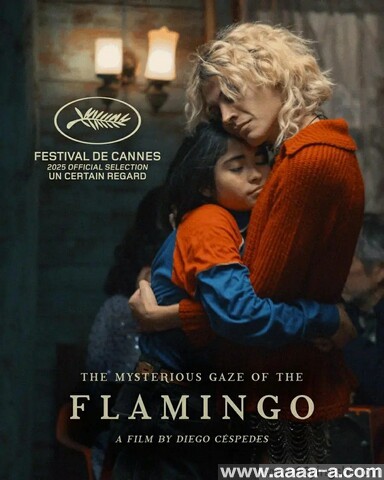 弗拉明戈的神秘眼神