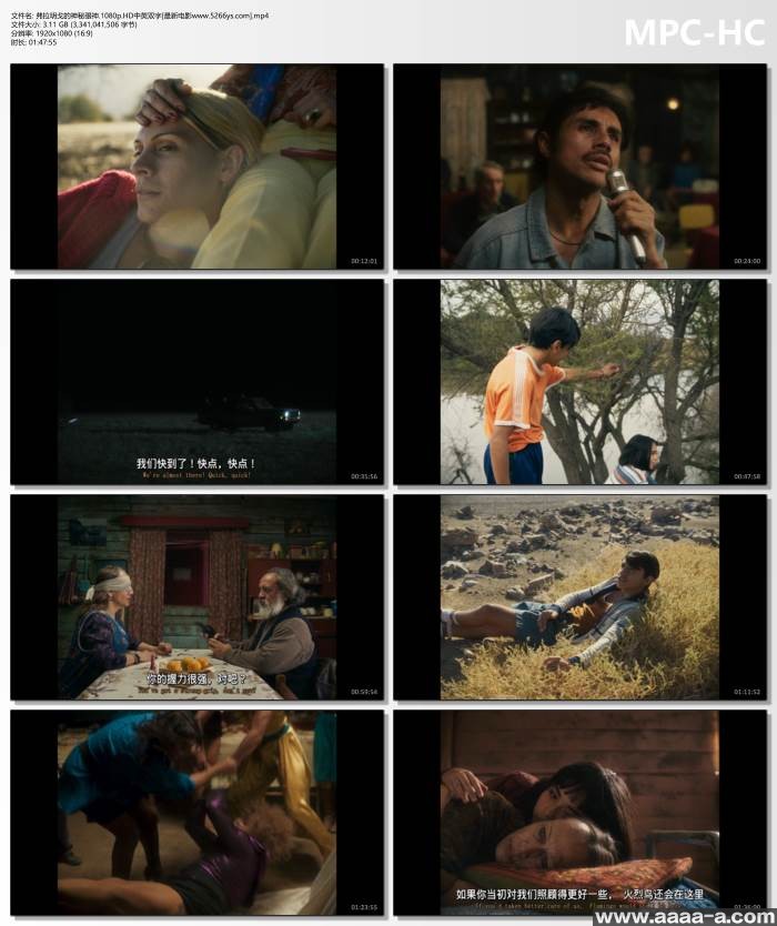 弗拉明戈的神秘眼神