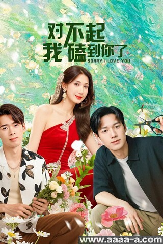 对不起，我磕到你了[全集]